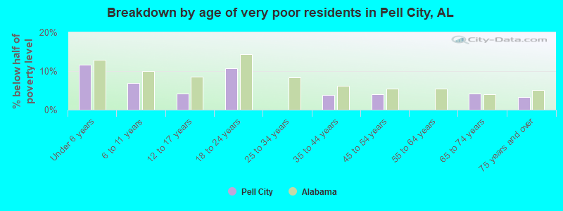 Breakdown by age of very poor residents in Pell City, AL