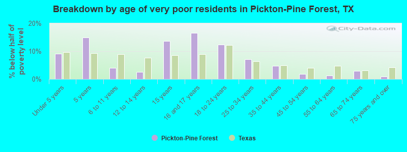 Breakdown by age of very poor residents in Pickton-Pine Forest, TX
