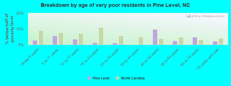 Breakdown by age of very poor residents in Pine Level, NC