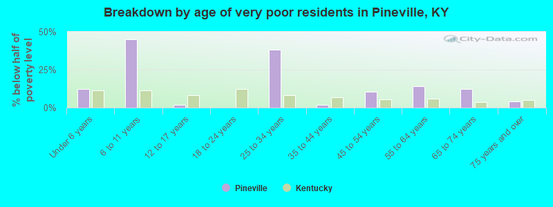 Breakdown by age of very poor residents in Pineville, KY