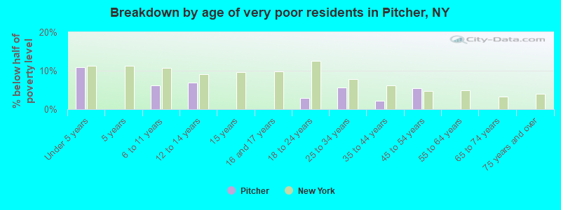 Breakdown by age of very poor residents in Pitcher, NY