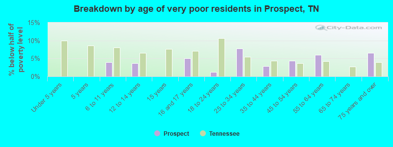Breakdown by age of very poor residents in Prospect, TN