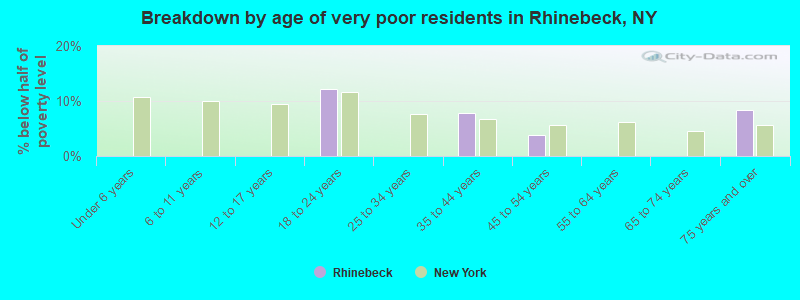 Breakdown by age of very poor residents in Rhinebeck, NY