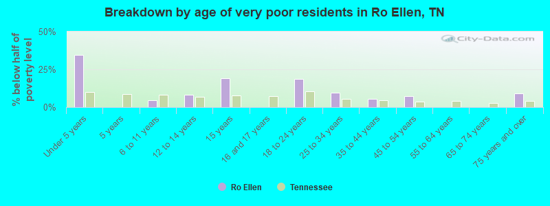 Breakdown by age of very poor residents in Ro Ellen, TN