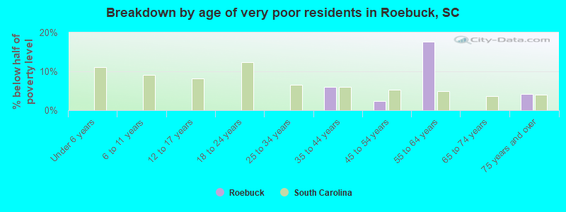 Breakdown by age of very poor residents in Roebuck, SC
