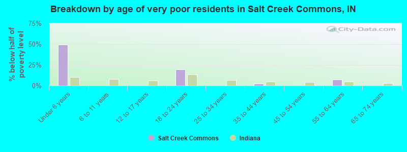 Breakdown by age of very poor residents in Salt Creek Commons, IN