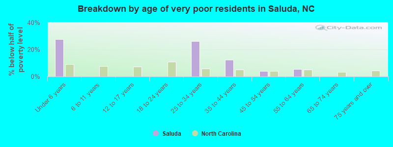 Breakdown by age of very poor residents in Saluda, NC