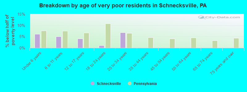 Breakdown by age of very poor residents in Schnecksville, PA