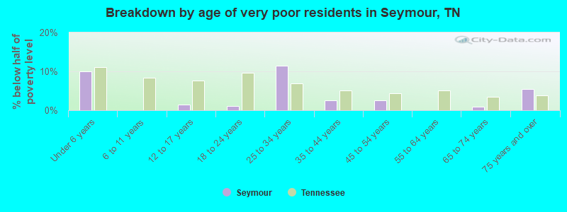 Breakdown by age of very poor residents in Seymour, TN