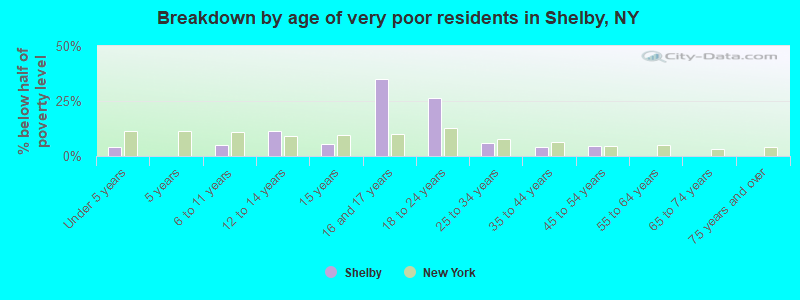 Breakdown by age of very poor residents in Shelby, NY