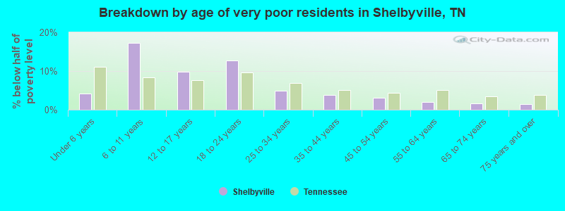 Breakdown by age of very poor residents in Shelbyville, TN