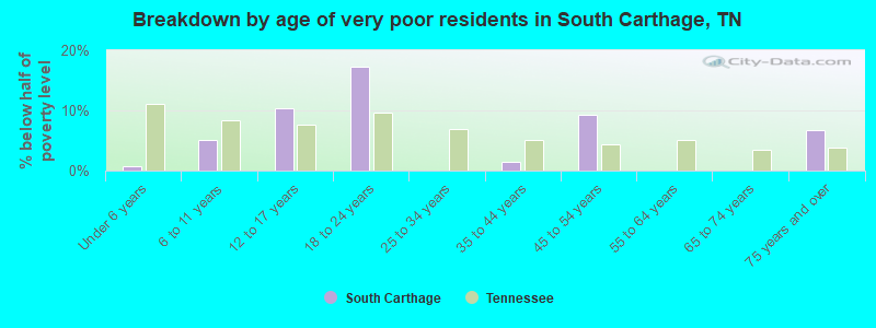 Breakdown by age of very poor residents in South Carthage, TN