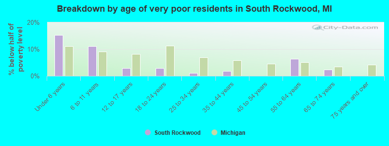 Breakdown by age of very poor residents in South Rockwood, MI