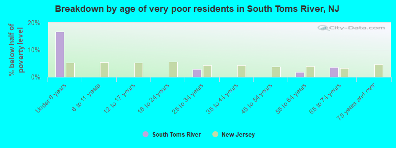 Breakdown by age of very poor residents in South Toms River, NJ