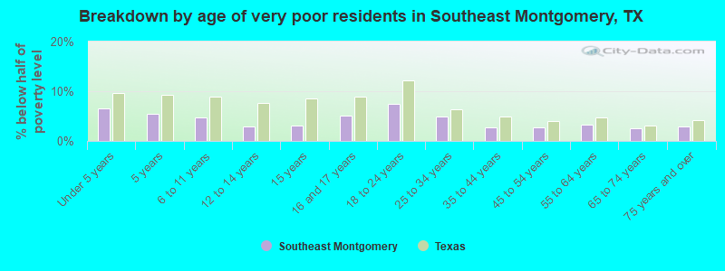 Breakdown by age of very poor residents in Southeast Montgomery, TX