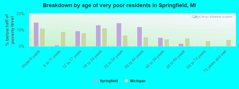 Breakdown by age of very poor residents in Springfield, MI