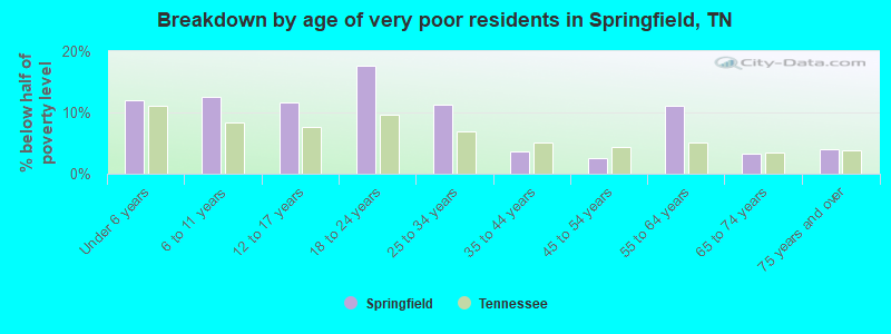 Breakdown by age of very poor residents in Springfield, TN