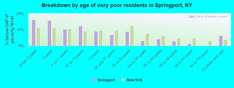 Breakdown by age of very poor residents in Springport, NY