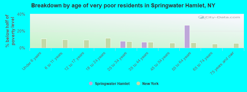 Breakdown by age of very poor residents in Springwater Hamlet, NY