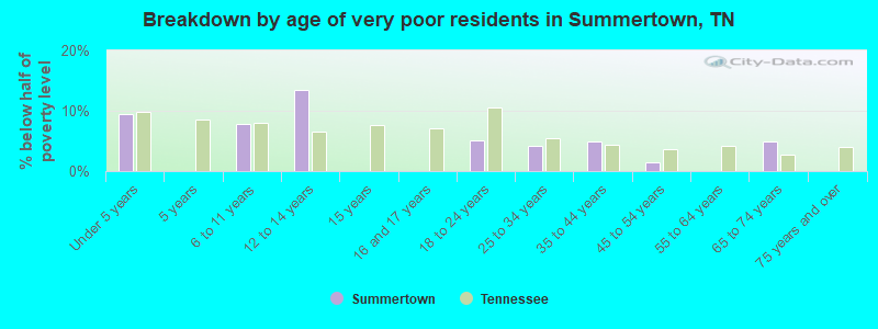Breakdown by age of very poor residents in Summertown, TN