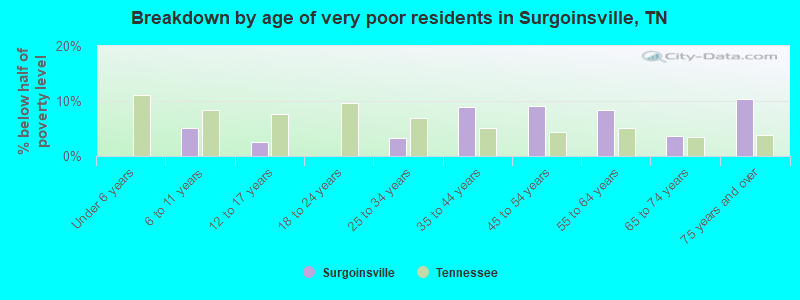 Breakdown by age of very poor residents in Surgoinsville, TN