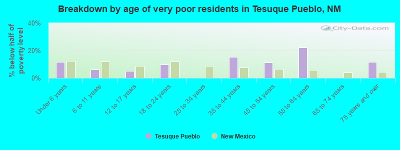 Breakdown by age of very poor residents in Tesuque Pueblo, NM