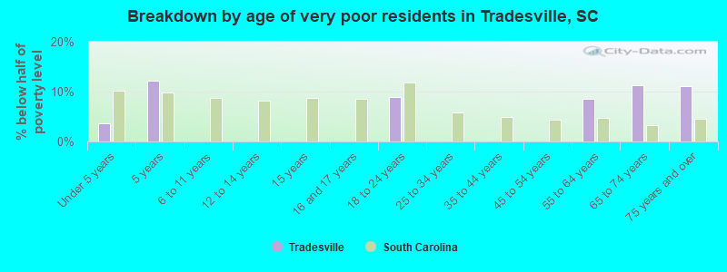 Breakdown by age of very poor residents in Tradesville, SC