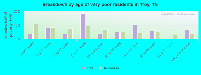 Breakdown by age of very poor residents in Troy, TN