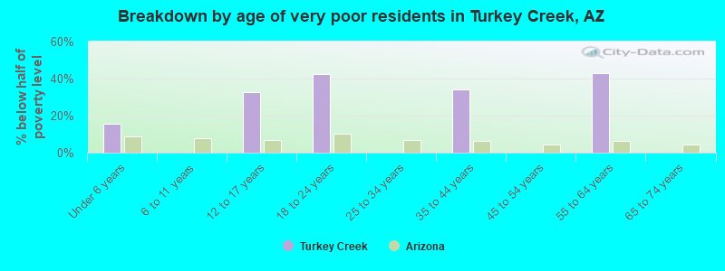 Breakdown by age of very poor residents in Turkey Creek, AZ