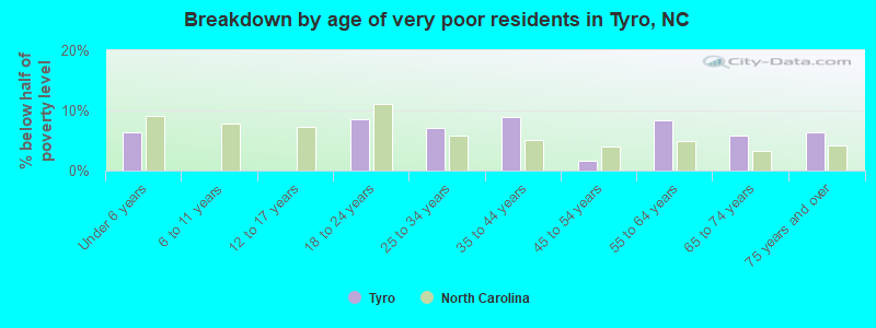 Breakdown by age of very poor residents in Tyro, NC