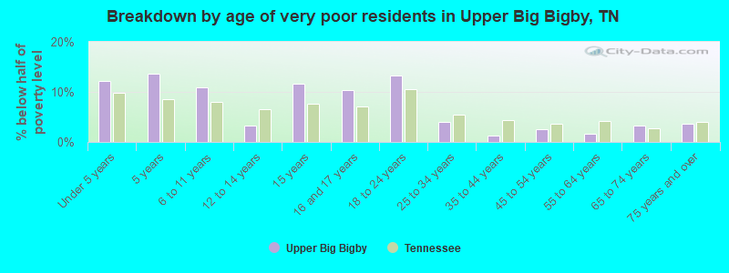 Breakdown by age of very poor residents in Upper Big Bigby, TN