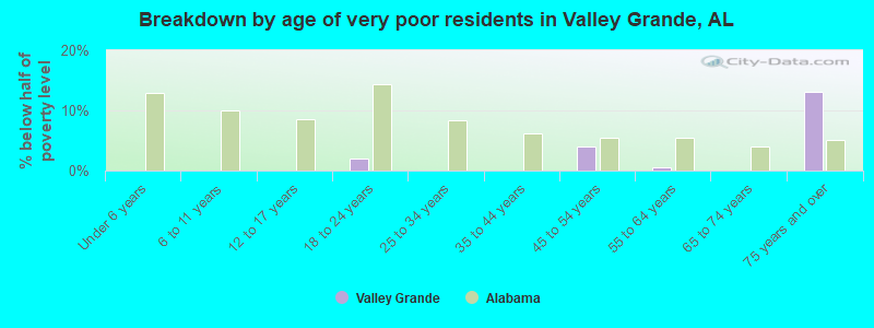 Breakdown by age of very poor residents in Valley Grande, AL