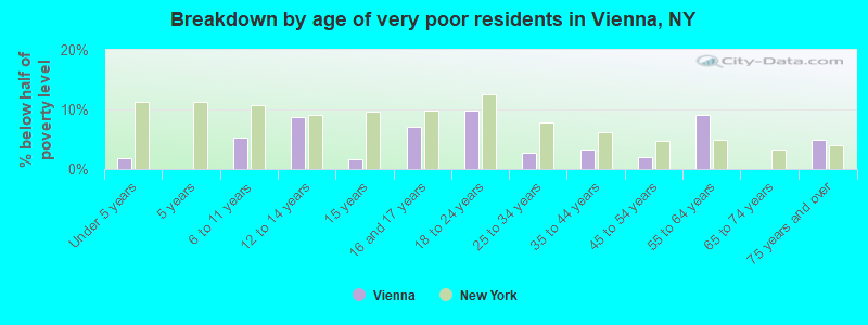 Breakdown by age of very poor residents in Vienna, NY