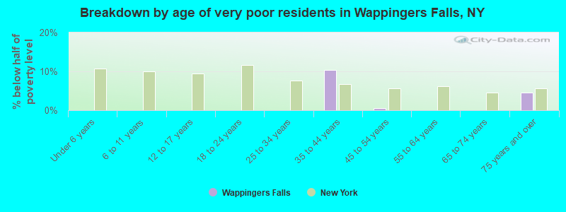 Breakdown by age of very poor residents in Wappingers Falls, NY