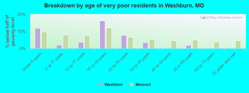 Breakdown by age of very poor residents in Washburn, MO