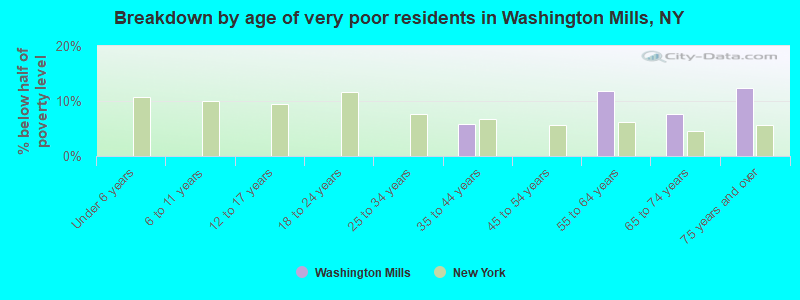 Breakdown by age of very poor residents in Washington Mills, NY
