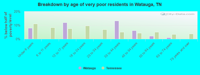 Breakdown by age of very poor residents in Watauga, TN