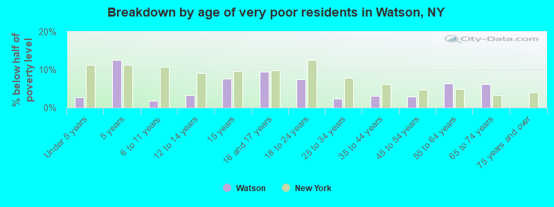 Breakdown by age of very poor residents in Watson, NY