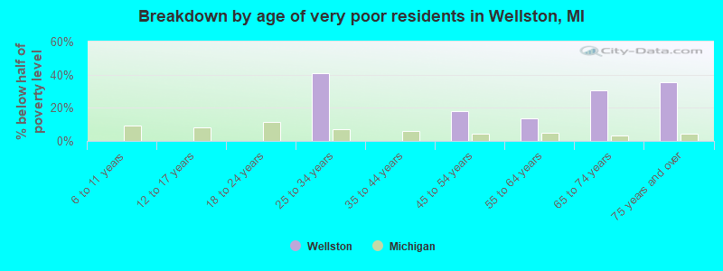 Breakdown by age of very poor residents in Wellston, MI
