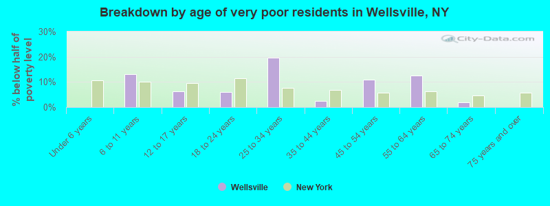 Breakdown by age of very poor residents in Wellsville, NY