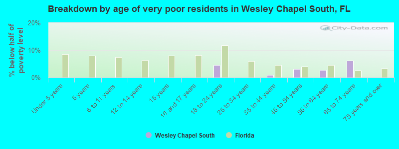 Breakdown by age of very poor residents in Wesley Chapel South, FL
