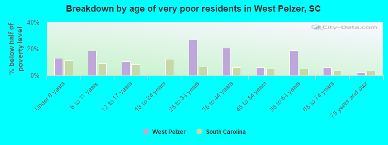 Breakdown by age of very poor residents in West Pelzer, SC