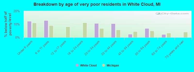 Breakdown by age of very poor residents in White Cloud, MI
