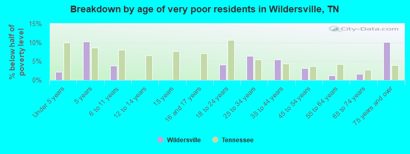 Breakdown by age of very poor residents in Wildersville, TN