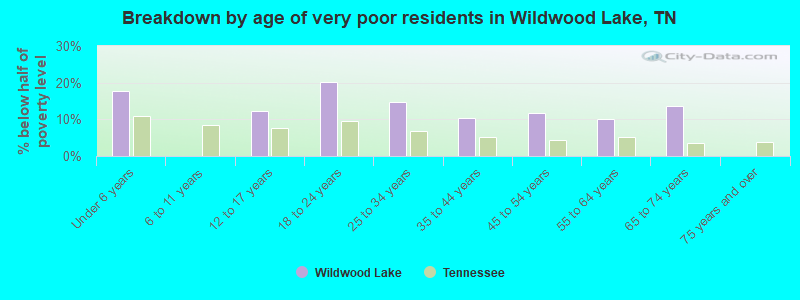 Breakdown by age of very poor residents in Wildwood Lake, TN