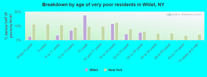 Breakdown by age of very poor residents in Willet, NY