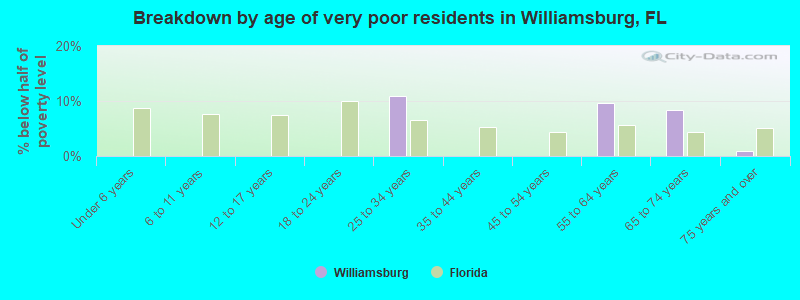 Breakdown by age of very poor residents in Williamsburg, FL