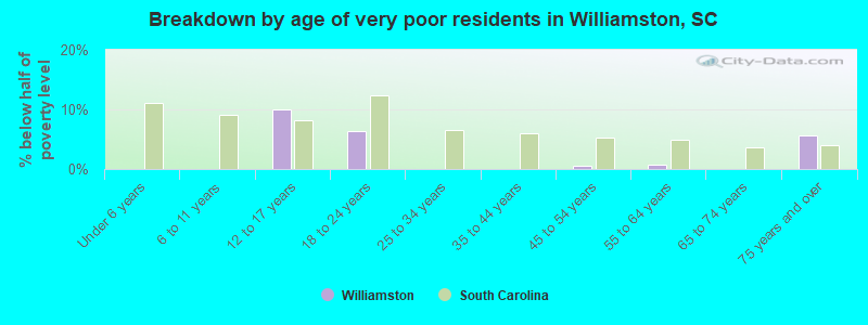 Breakdown by age of very poor residents in Williamston, SC