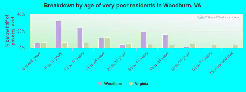 Breakdown by age of very poor residents in Woodburn, VA