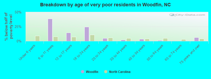 Breakdown by age of very poor residents in Woodfin, NC